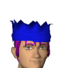 apollo beach avatar